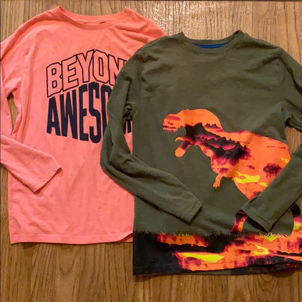 Long Sleeved T-Shits Boys sz L(10/12) 2 Shirts